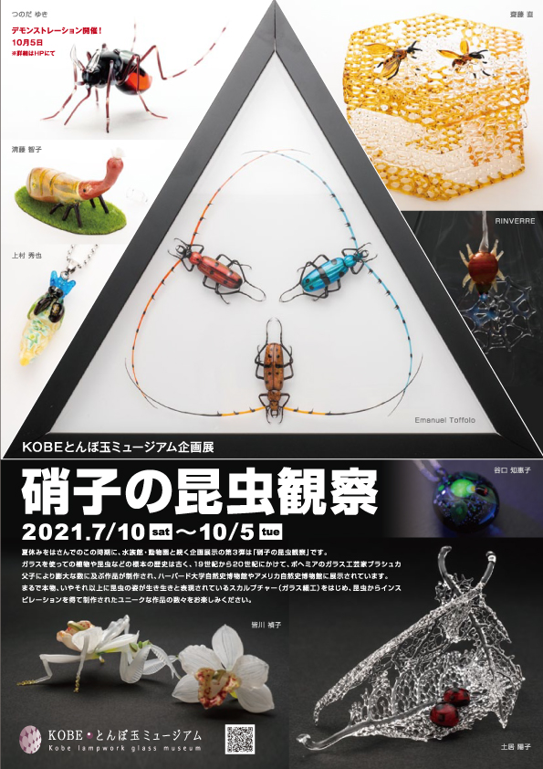 [Exhibition/Kobe - Kobe lampwork glass museum]Observation of glass insects(2021/07/10 - 2021/10/05)