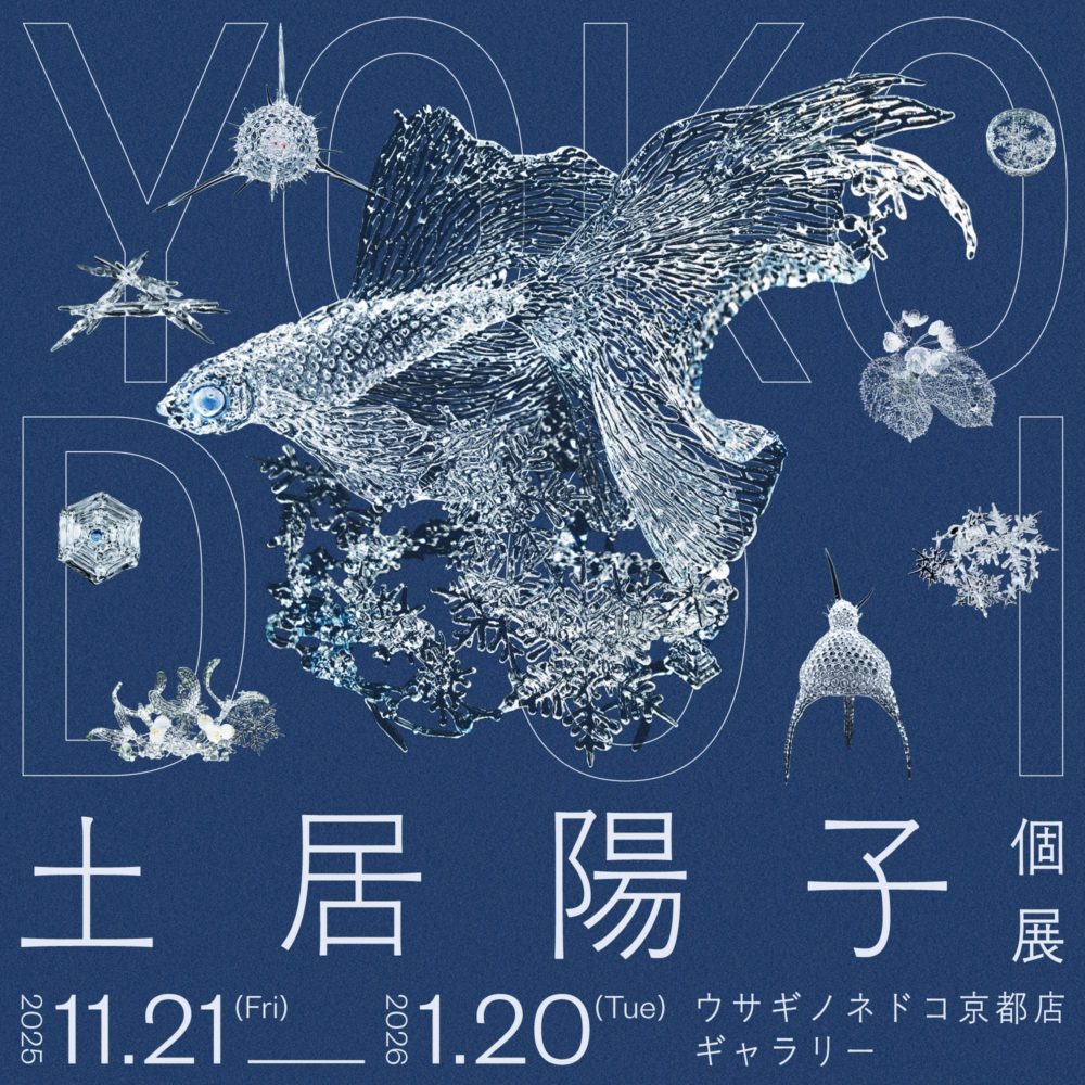 [SoloExhibition/Kyoto Usaginonedoko-Gallery]Yoko Doi Solo Exhibition(2025/11/21 - 2026/01/20)